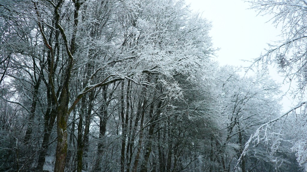 Eine schöne verschneite Landschaft aus meiner bayerischen Heimat Tante Bayern